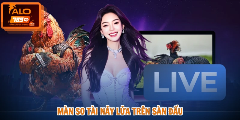 Màn so tài nảy lửa trên sàn đấu